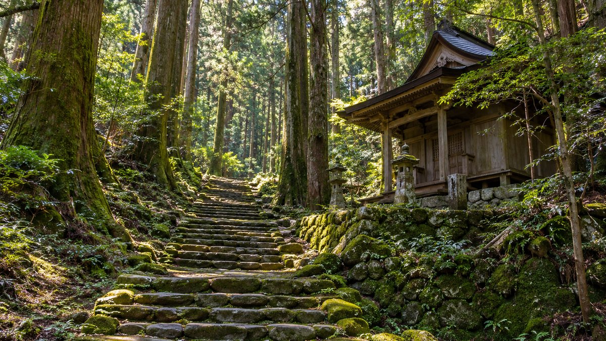 高野山・熊野古道のおすすめモデルコース5選