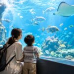 鳥羽水族館の滞在時間は何時間？子連れの回り方と混雑・駐車場のコツ