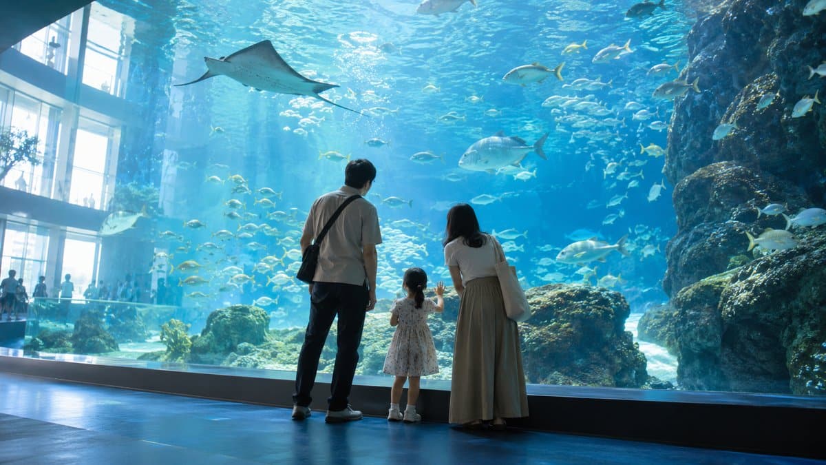 鳥羽水族館の滞在時間の目安は2〜4時間