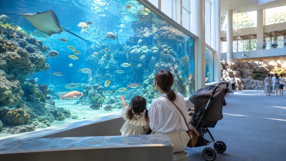 鳥羽水族館の滞在時間でよくある疑問